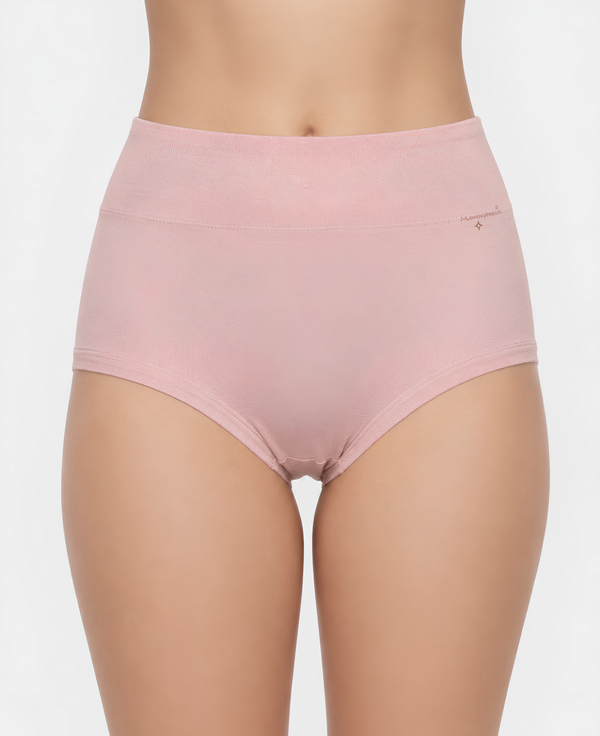 Classic High-Waist Brief